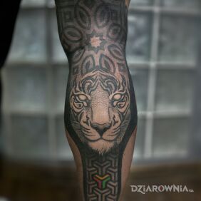 Tatuaż Głowa tygrysa w geometrii na łydce motyw: czarno-szare styl: dotwork