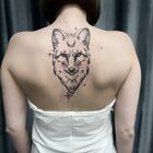 Fox from Hi Bozena