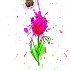 Tulipan waterccolor