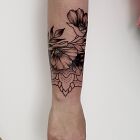 Subtle poppies
