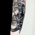Perched gecko