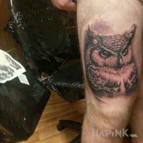 Tattoo Owl on the leg motif: animals