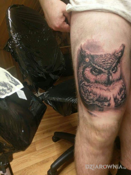 Tatuaż sowa w motywie zwierzęta na nodze