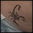 Scorpion on the belly