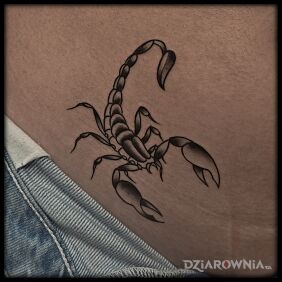 Tatuaż Skorpion na brzuchu na brzuchu motyw: zwierzęta styl: oldschool