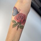 Rose with butterfly