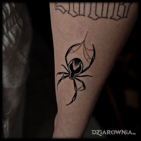 Tatuaż Pająk w oldschoolu na przedramieniu motyw: zwierzęta styl: oldschool