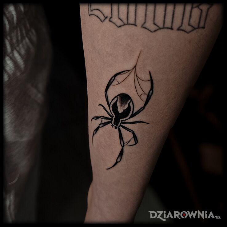 Tatuaż Pająk w oldschoolu w motywie zwierzęta i stylu oldschool na przedramieniu