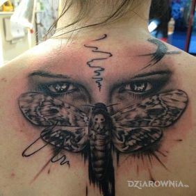 Tatuaż Oczy na cykadzie na plecach motyw: motyle styl: realistyczne