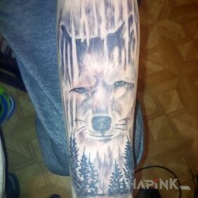 Tattoo Wolf on the forearm motif: animals