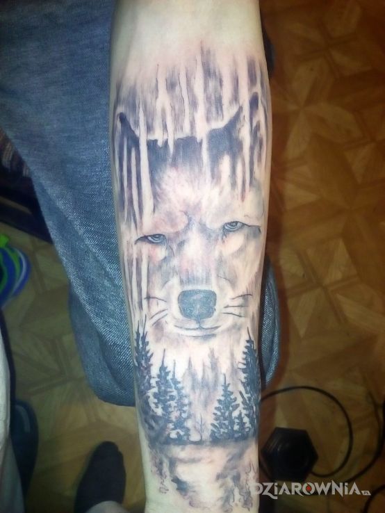 Tatuaż wilk w motywie zwierzęta na przedramieniu