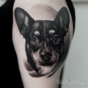 Tattoo Dog On the arm motif: black and gray style: realistic