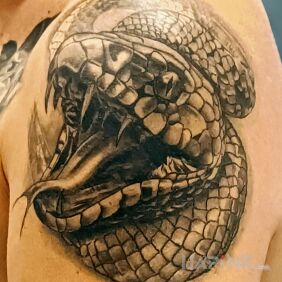 Tattoo Snake on the upper arm motif: animals style: realistic