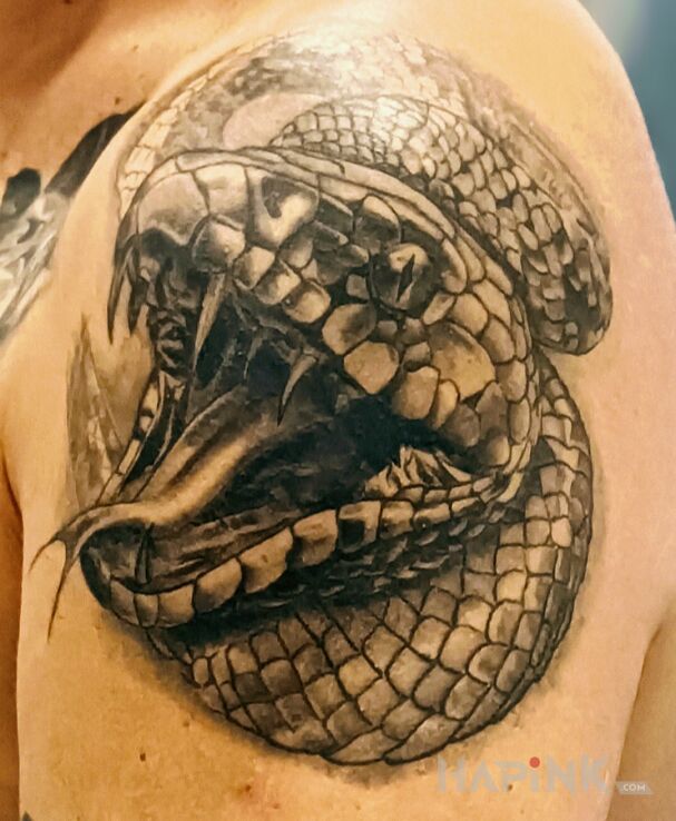 Tattoo Snake in black and gray motif and realistic style on the upper arm