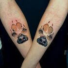 Paw prints with enclosed portraits