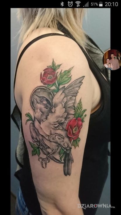 Tatuaż ptak w motywie zwierzęta na ramieniu