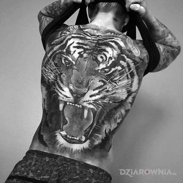 Tatuaż wkurzony tygrys w motywie zwierzęta i stylu realistyczne na plecach