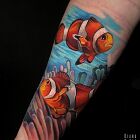 Marine vibe, clownfish