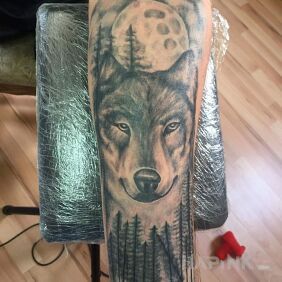 Tattoo Wolf on the forearm motif: animals