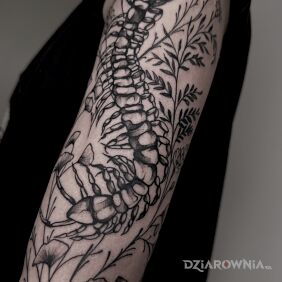 Tatuaż Skolopedra na ramieniu motyw: florystyczne styl: dotwork