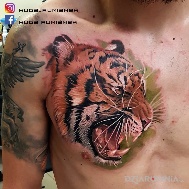Tatuaż tygrys w motywie zwierzęta i stylu realistyczne na klatce