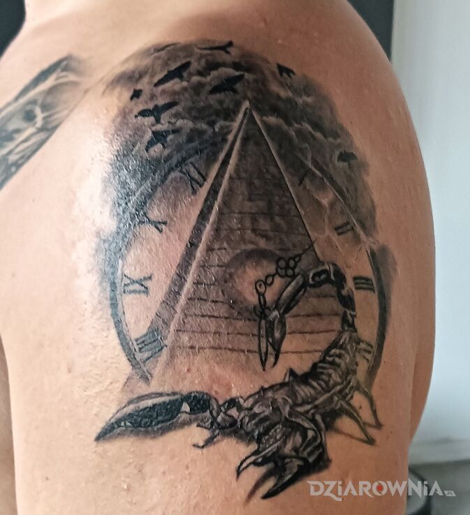Tatuaż Skorpion w motywie zwierzęta i stylu realistyczne na ramieniu