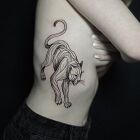 Puma with a line on the side