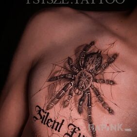 Tattoo Spider (Heteroscodra maculata) on the chest motif: animals style: realistic