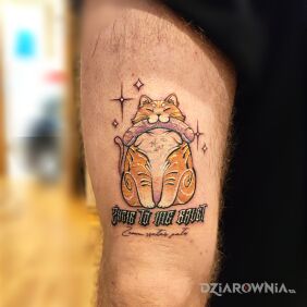 Tatuaż 🤷‍♀️  nic dodać nic ująć na nodze motyw: zwierzęta styl: graficzne / ilustracyjne