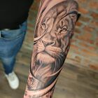 Lion with banknotes