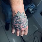 Colorful rose on hand