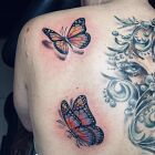 Two Colorful Butterflies