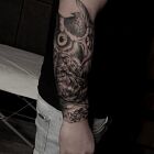 Owl