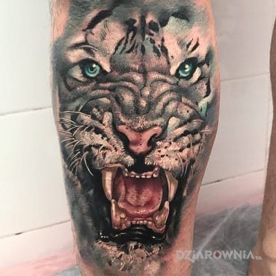 Tatuaż biały tygrys w motywie 3D i stylu realistyczne na nodze