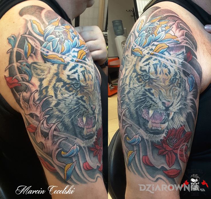 Tatuaż tygrys w motywie kwiaty i stylu japońskie / irezumi na ramieniu