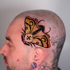 Moth