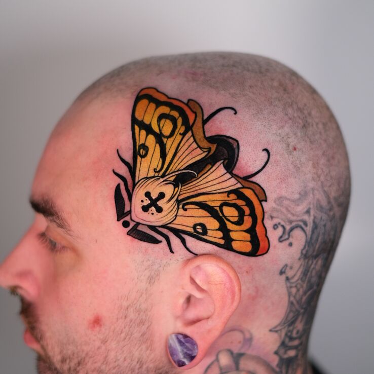 Tattoo Moth in animals motif and neo-traditional style on the head