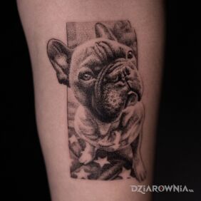 Tatuaż Tatuaż przedstawiający przyjaciela:) na ręce motyw: zwierzęta styl: realistyczne