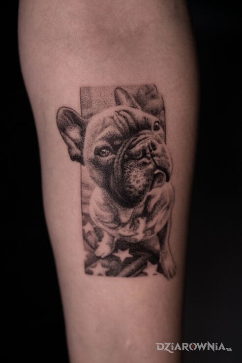 Tatuaż Tatuaż przedstawiający przyjaciela:) w motywie zwierzęta i stylu dotwork na przedramieniu