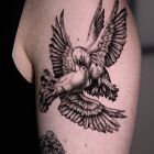 Doves:)