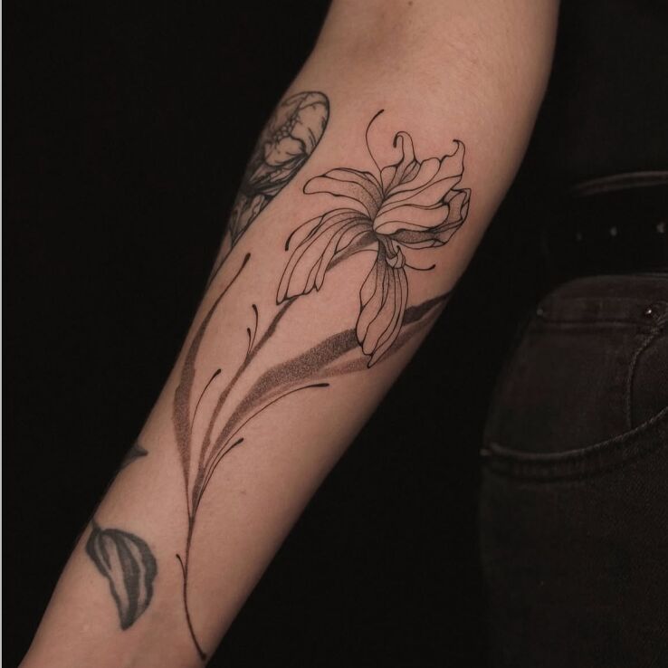 Tattoo Iris in black and gray motif and dotwork style on the forearm