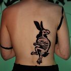 Dark cover-up rabbit skeleton
