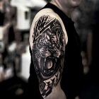 Lion and its Roar