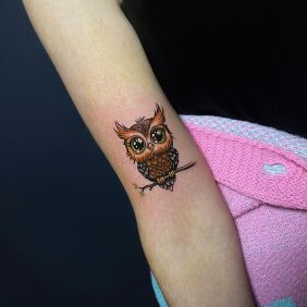 Tattoo Colorful Owl On the arm motif: colorful style: cartoon / comic book