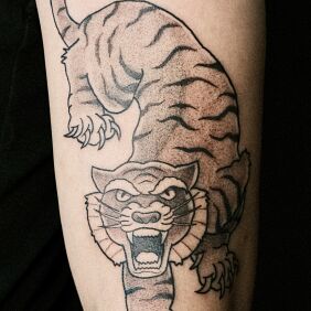 Tattoo Tiger in classic style on the upper arm motif: black and gray style: graphic / illustrative