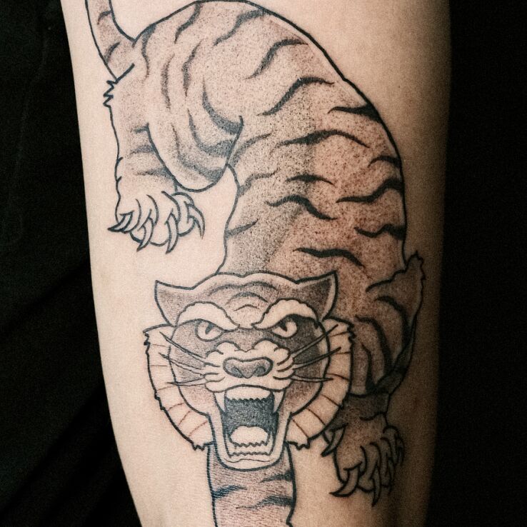 Tattoo Tiger in classic style in black and gray motif and graphic / illustrative style On the arm