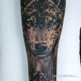 Tatuaż Wilk czuwający nad chłopcem na przedramieniu motyw: postacie styl: realistyczne
