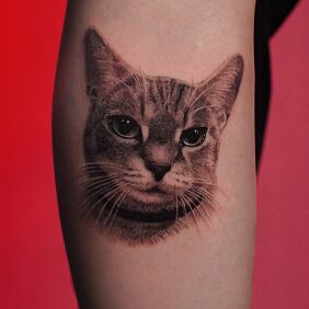 Tattoo Realistic cat portrait - delicate tattoo in shades of gray on the leg motif: black and gray style: dotwork