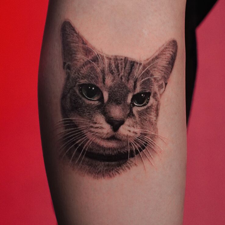 Tattoo Realistic cat portrait - delicate tattoo in shades of gray in animals motif and dotwork style on the leg