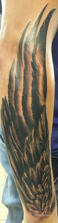 Tatuaż skrzydło w motywie pozostałe na przedramieniu